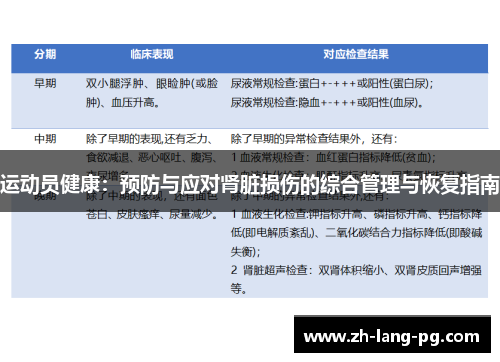 运动员健康：预防与应对肾脏损伤的综合管理与恢复指南